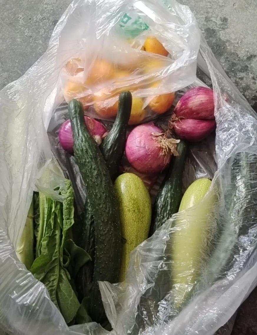 去西藏边旅游边打工,去西藏打工真实感受