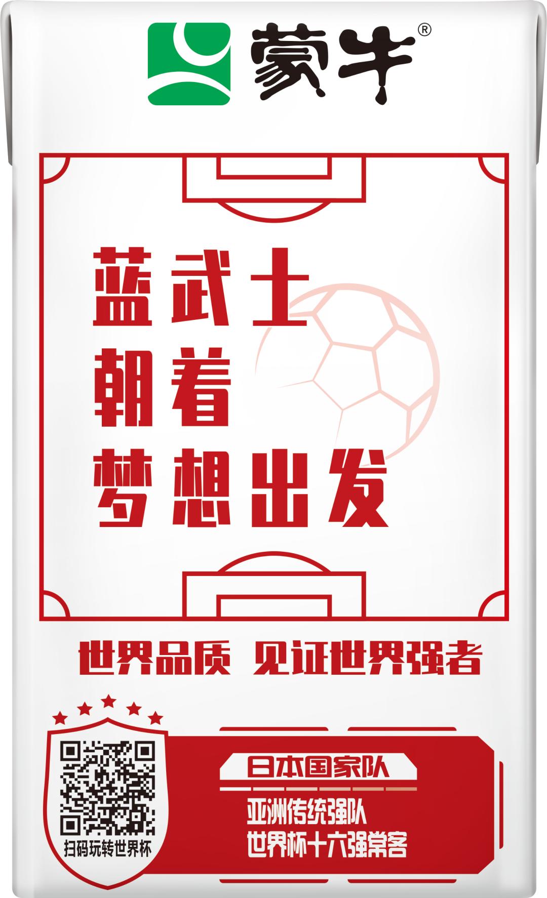 世界杯队长手记,世界杯队长纪录片葡萄牙