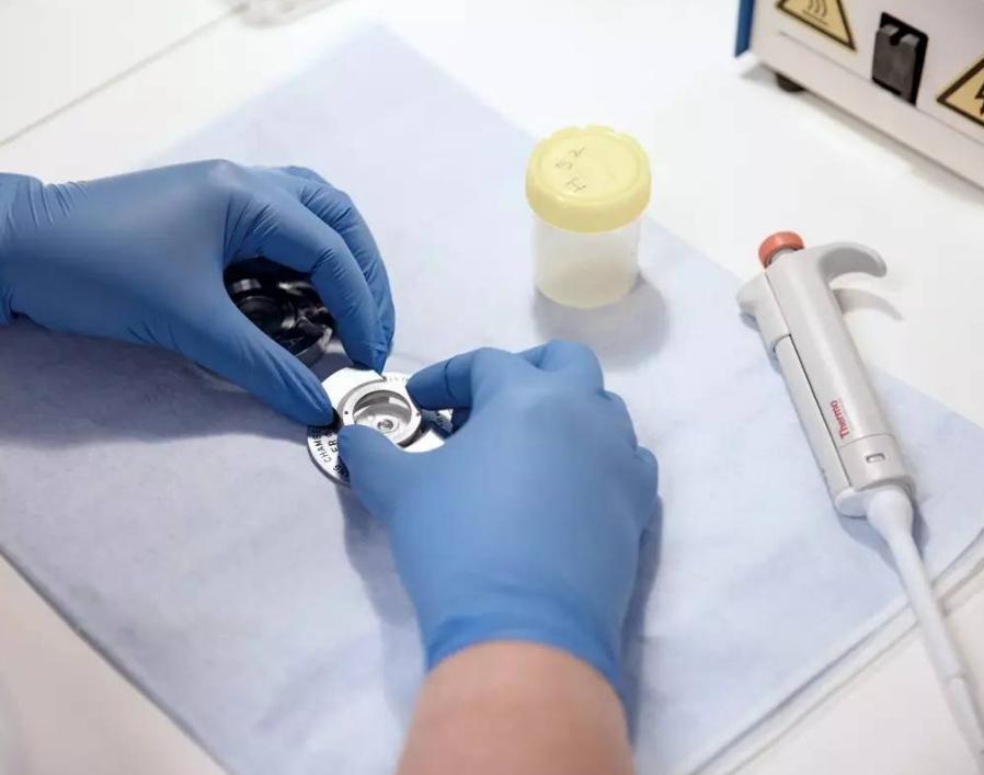 最强“配种王”一年捐精超百次：日本人为了“小蝌蚪”多么疯狂？