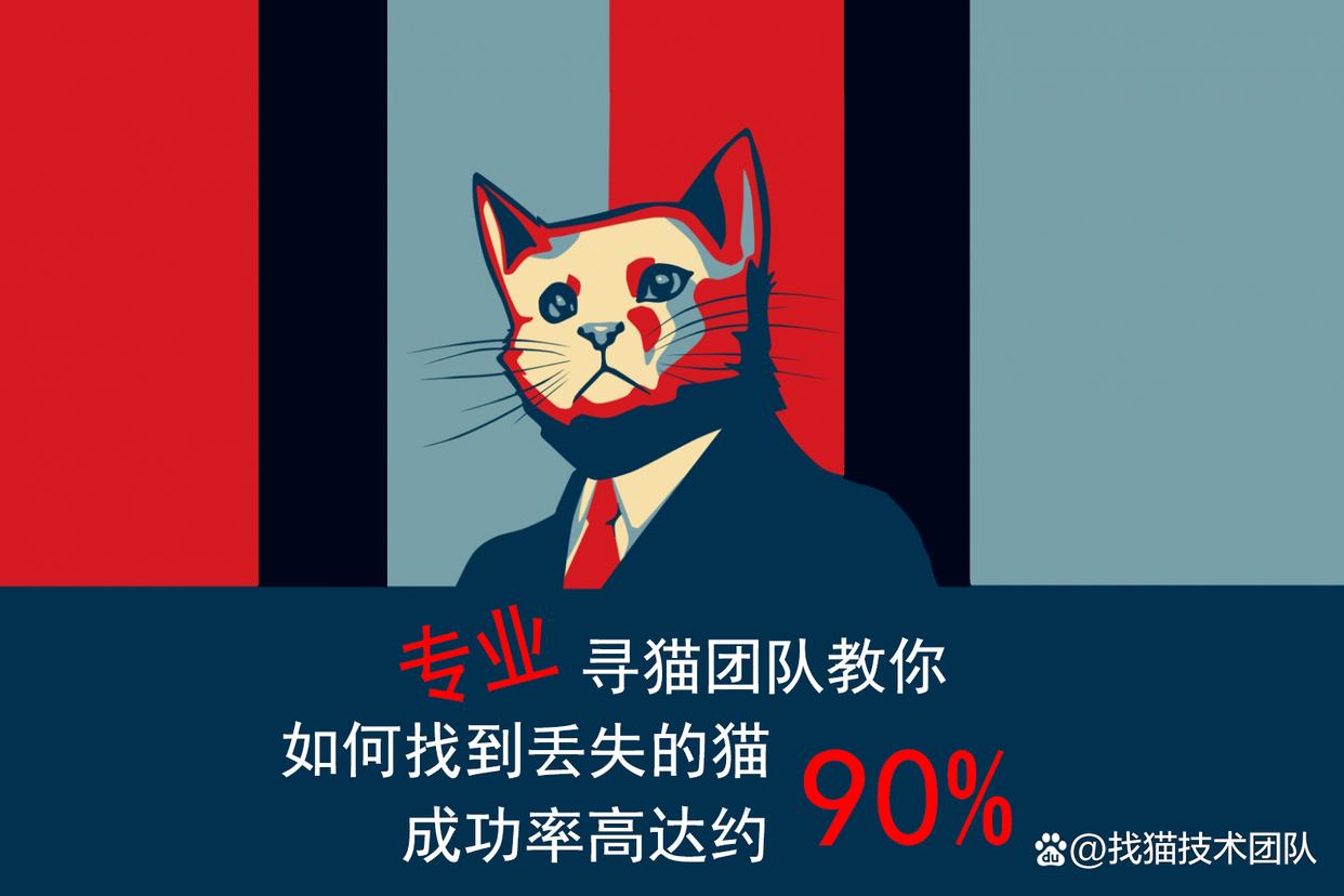 猫丢了怎么办才能找到猫,猫咪丢了怎么办超详细找猫方法
