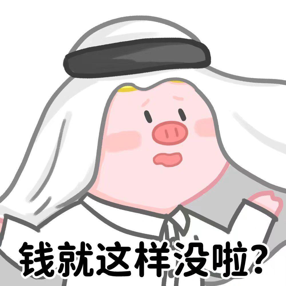 卡塔尔15岁小王子表情包,卡塔尔小王子气出表情包原视频