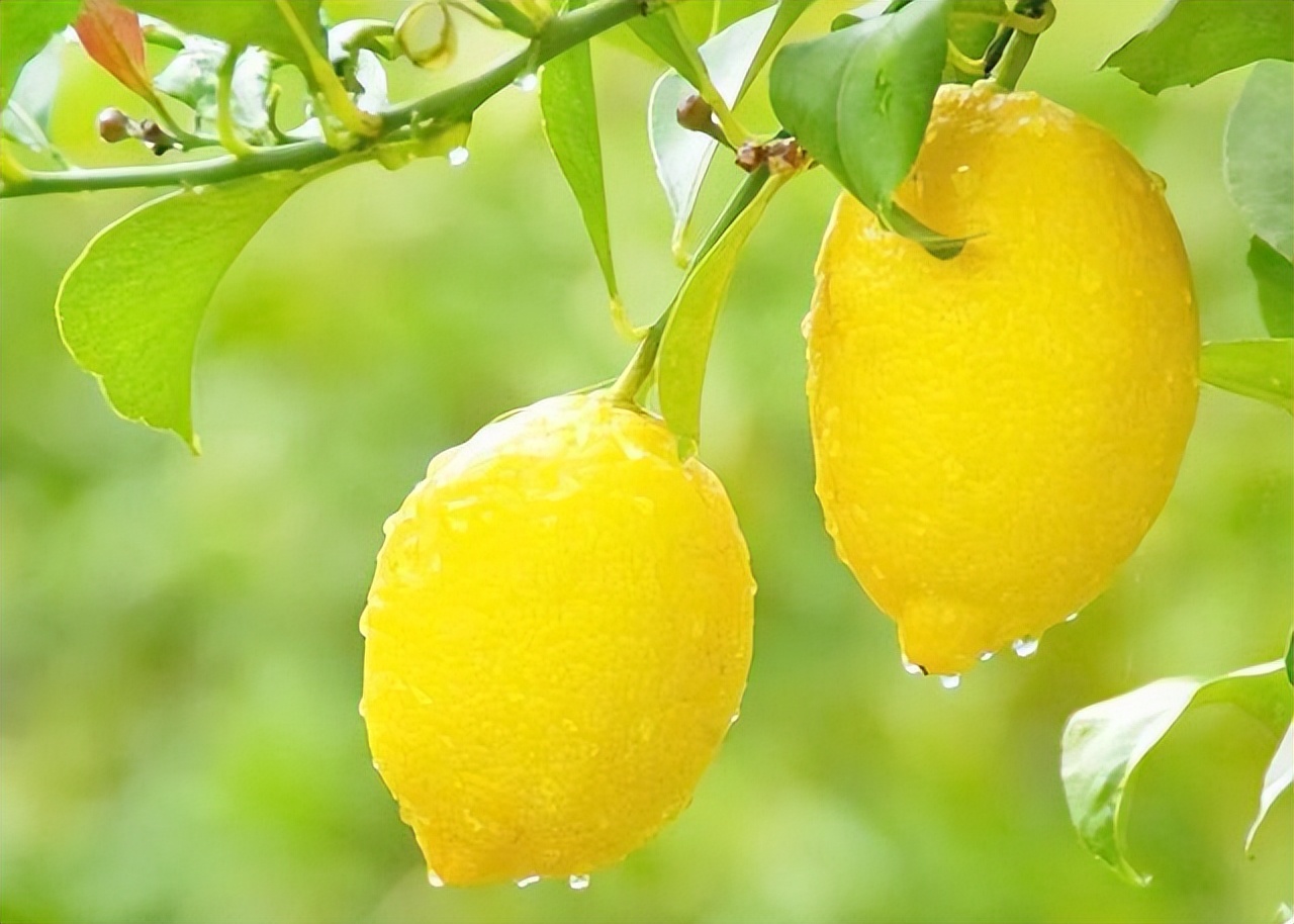 癌细胞害怕5种维生素,癌细胞怕有氧环境还是无氧环境啊