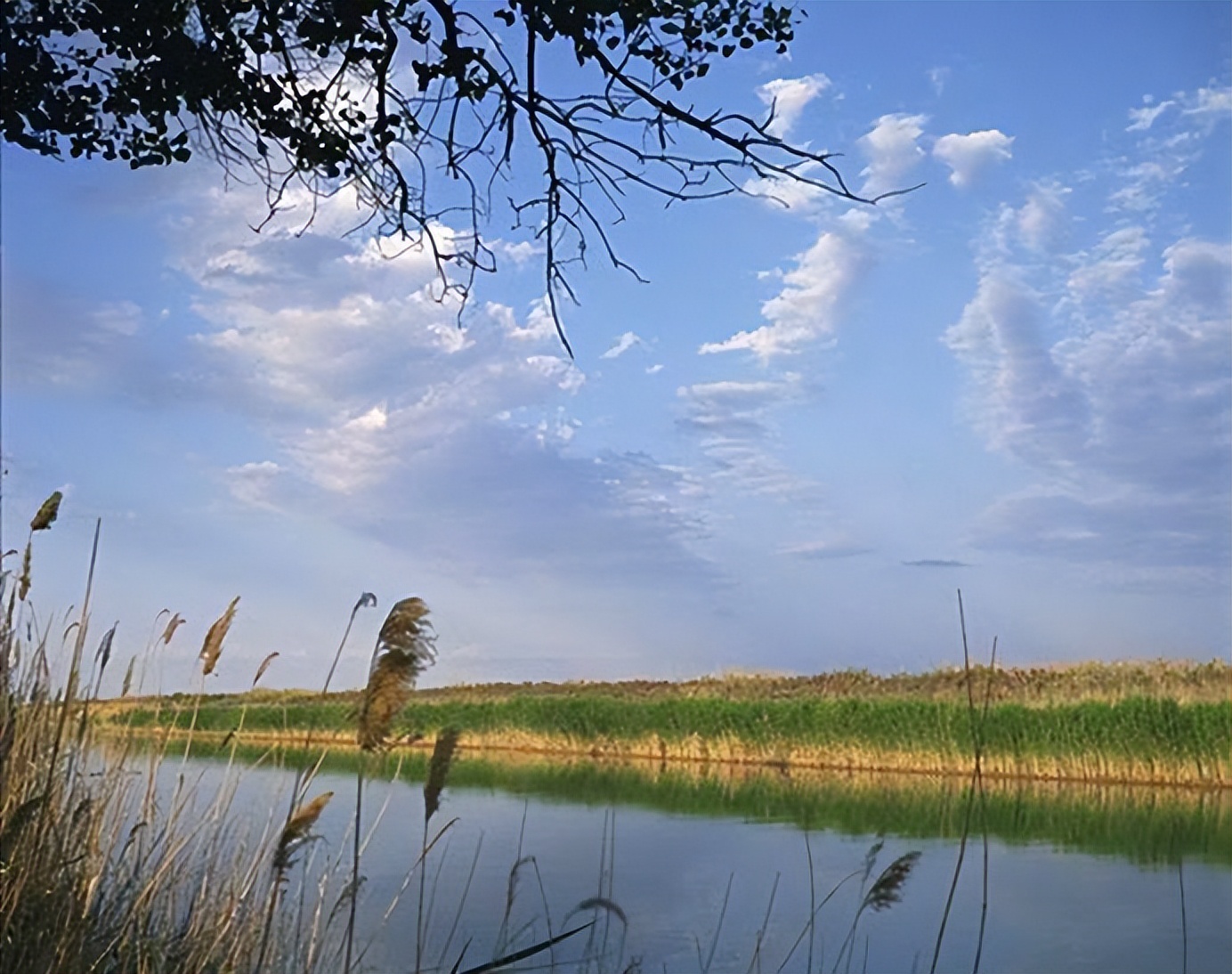 土库曼斯坦永久中立国的地位,土库曼斯坦中立国