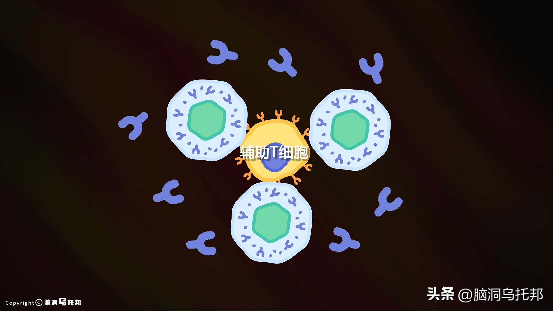 无症状感染是因为体质差吗,为什么有的人感染症状轻