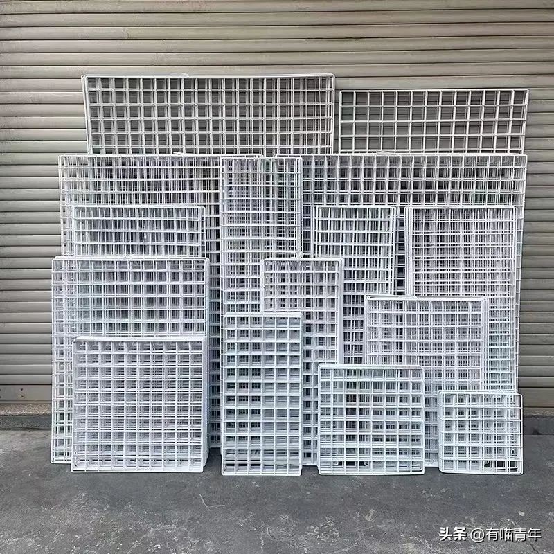 16个变态又实用的养猫妙招必看,养猫必看的100个技巧