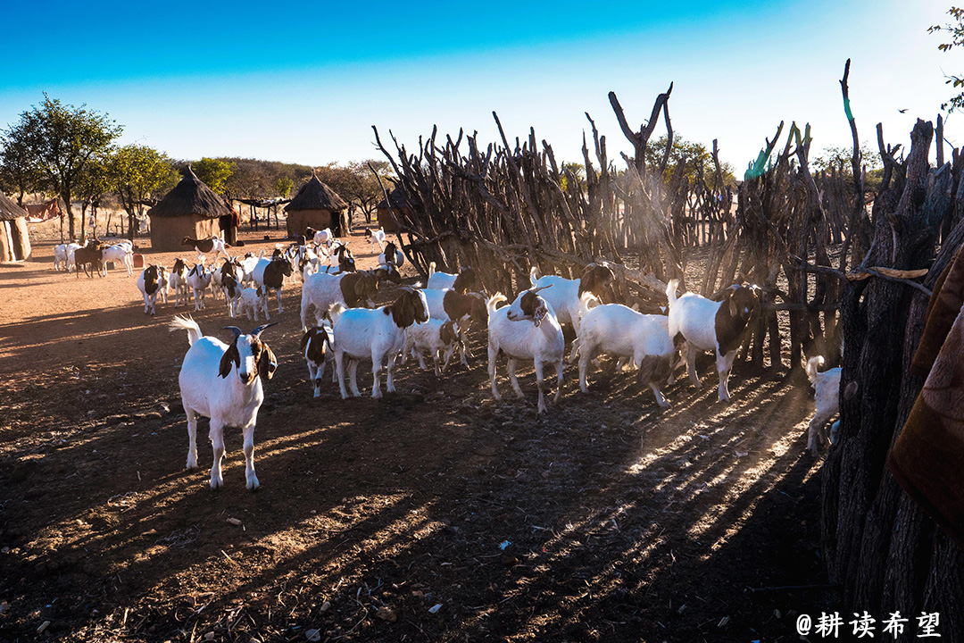 非洲200天（22）红泥人的烟浴