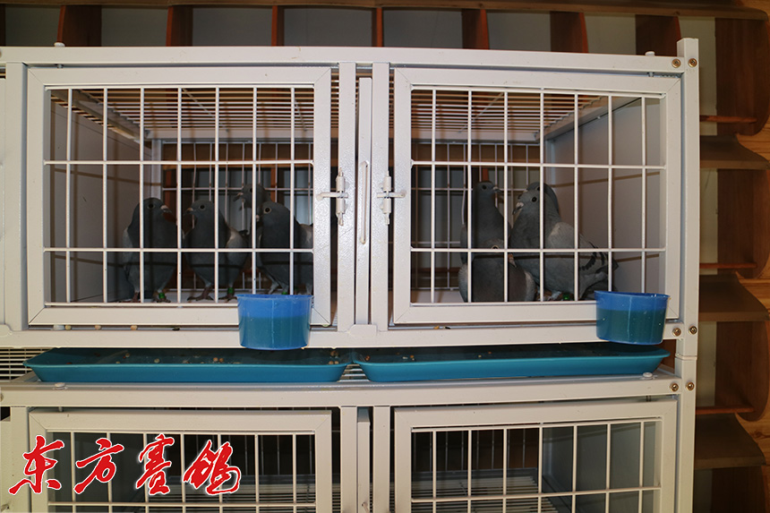 贵州万顺公棚2023年规程,多彩贵州鸿运当头