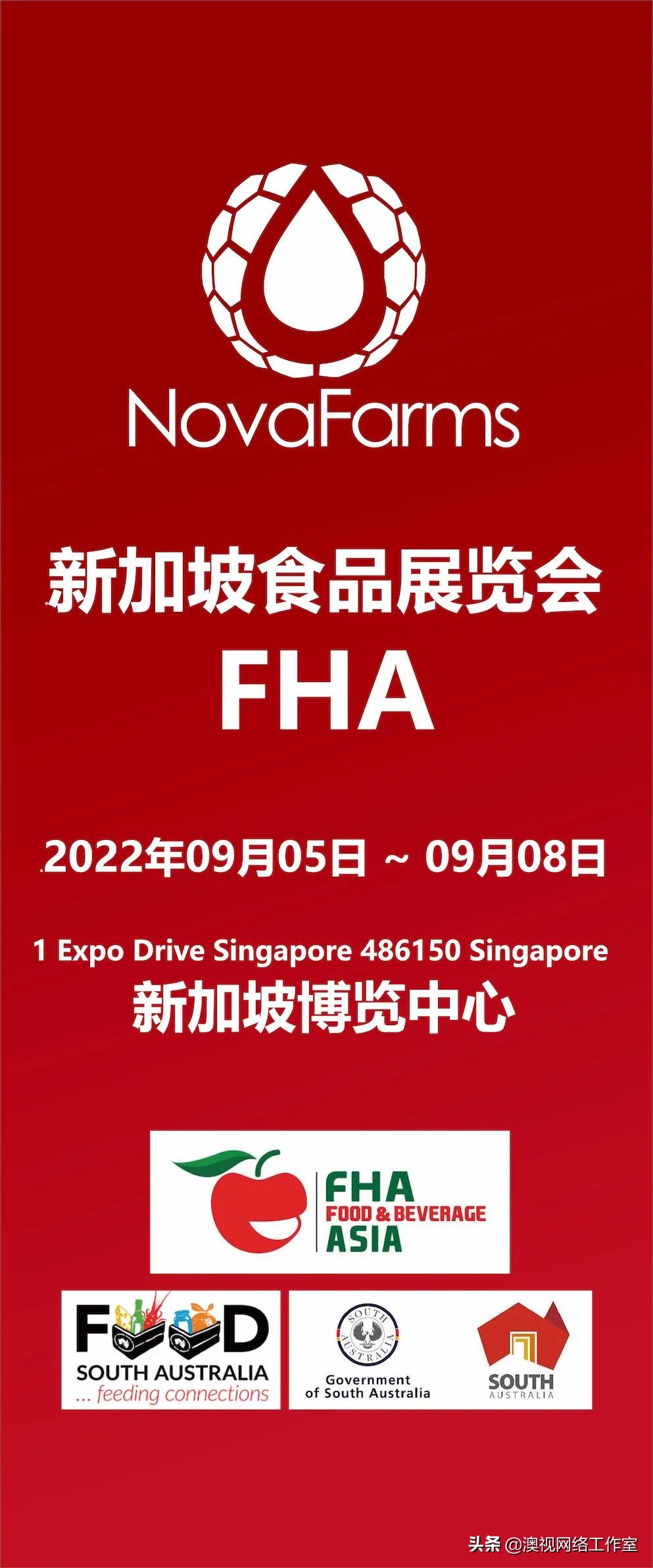 麦卢卡蜂蜜澳大利亚新西兰,麦卢卡蜂蜜国外