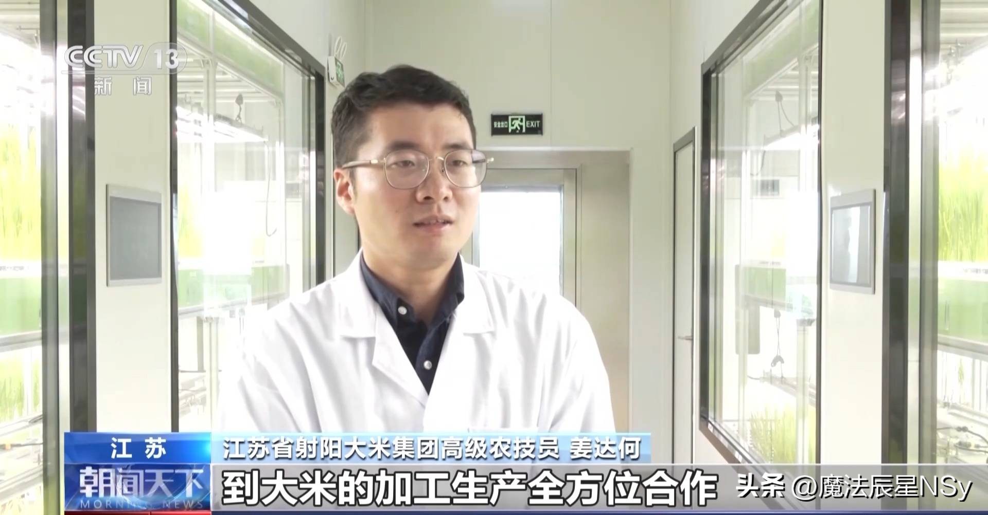 好粮大米,好粮好料出好酒