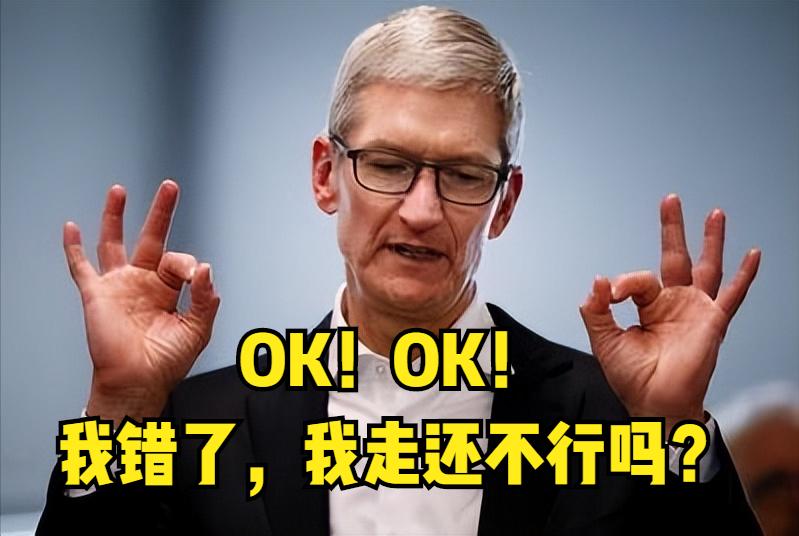 印度赚钱印度花，一分别想带回家！印度制造或许是一场大*局骗**？