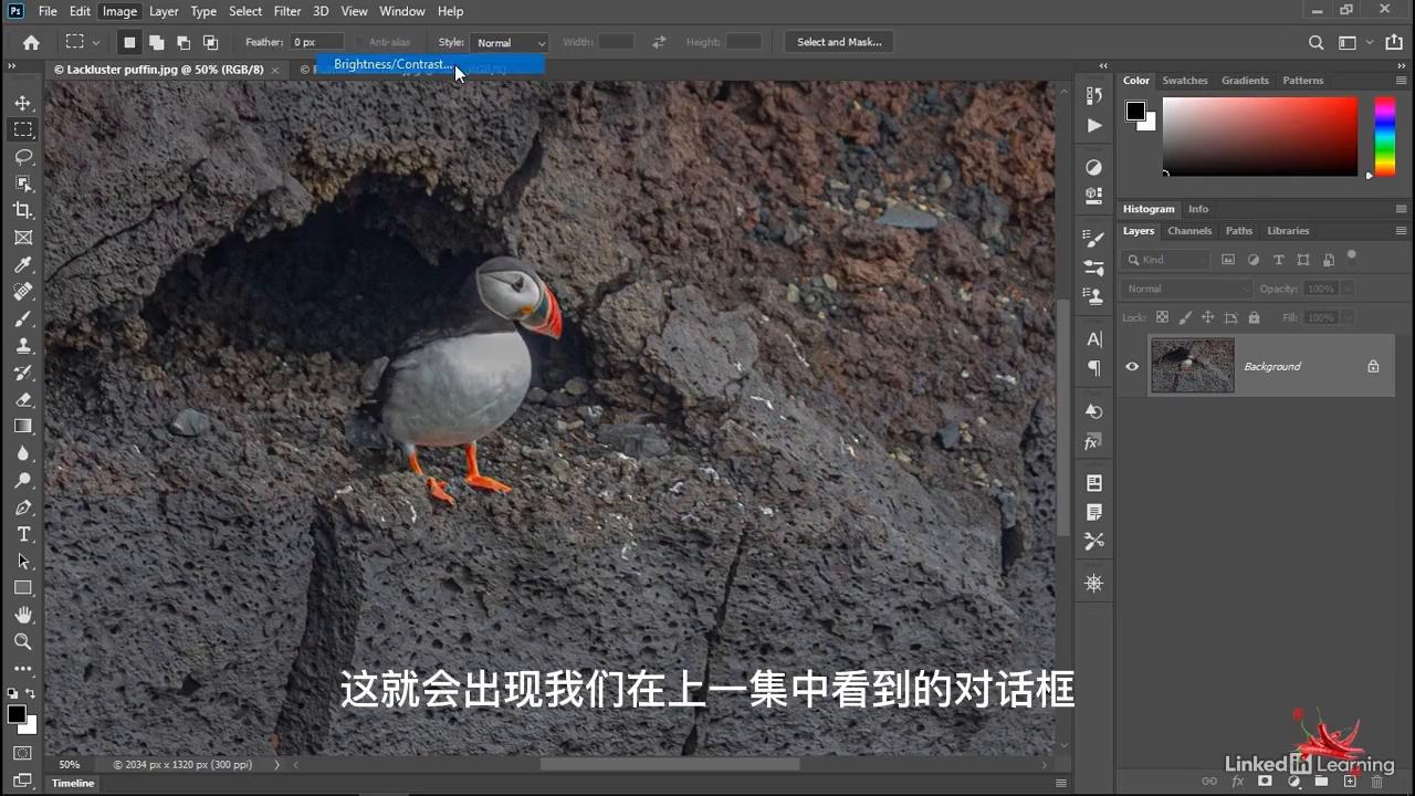 乐辣练习|亮度对比度调整技巧