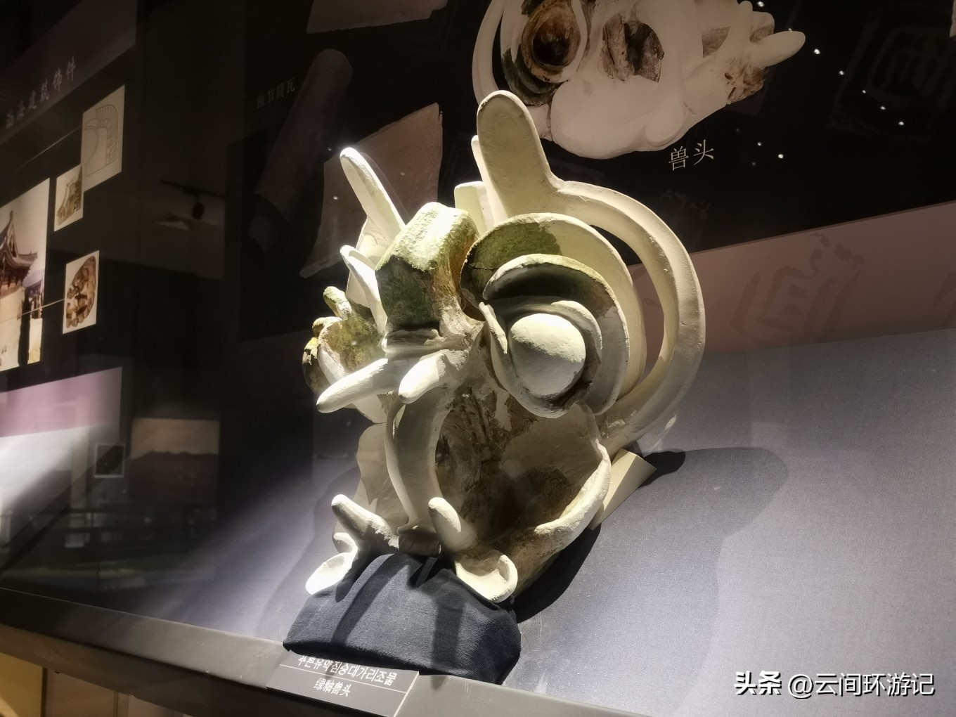 有情亦要食（延边延吉）