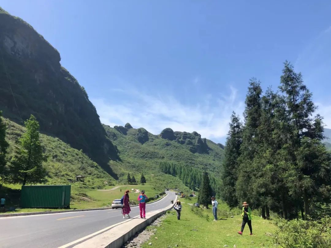 南川区金佛山旅游攻略,南川金佛山一日自驾游攻略