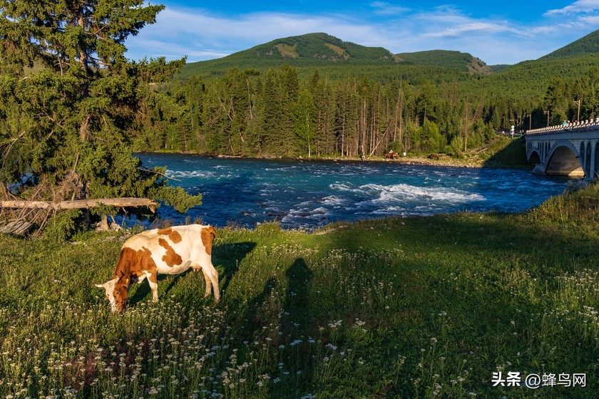 佳能eosr5镜头24-70,佳能r5和r6照相评测