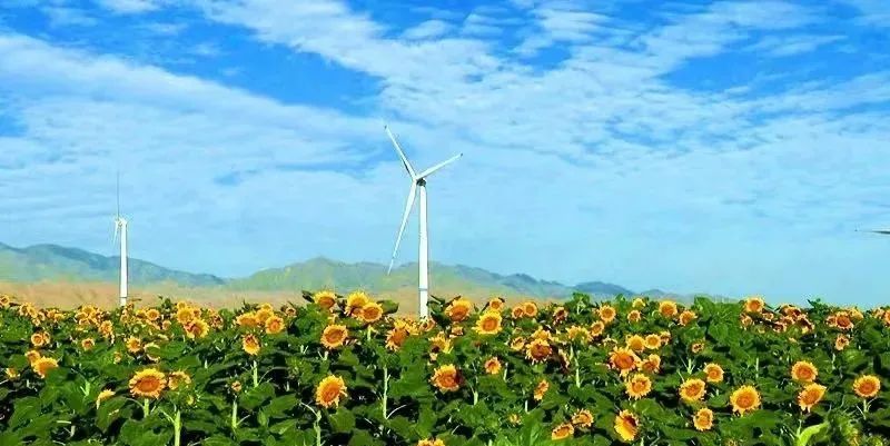 白银生态美景,白银大地山水