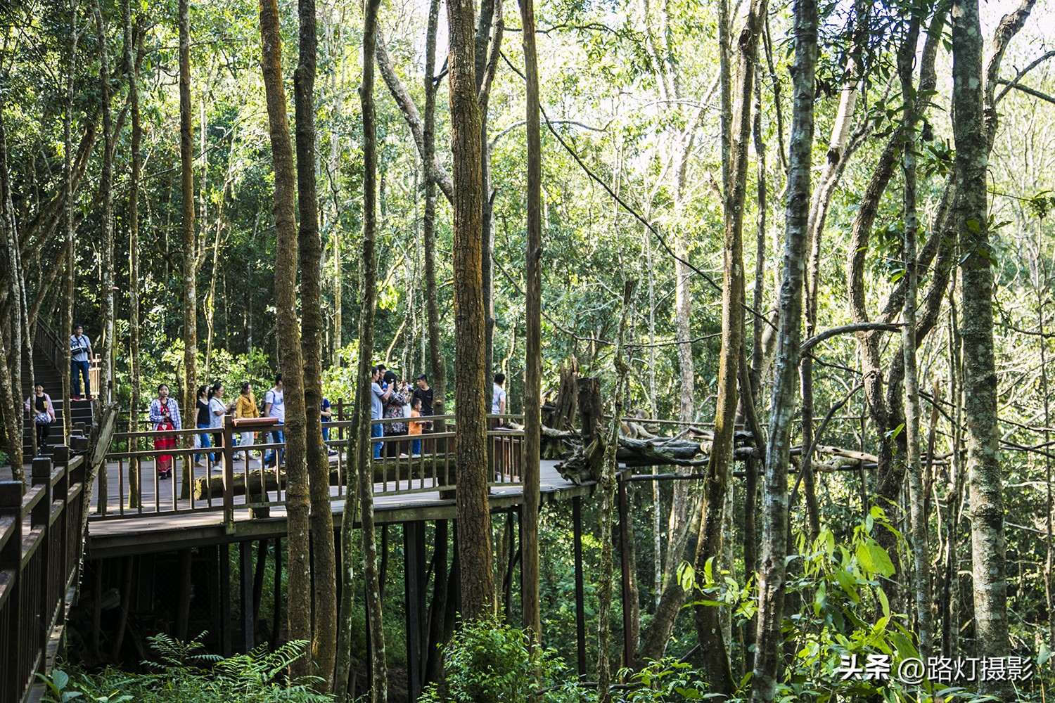 云南最适合养老城市普洱,中国的春城是哪个城市