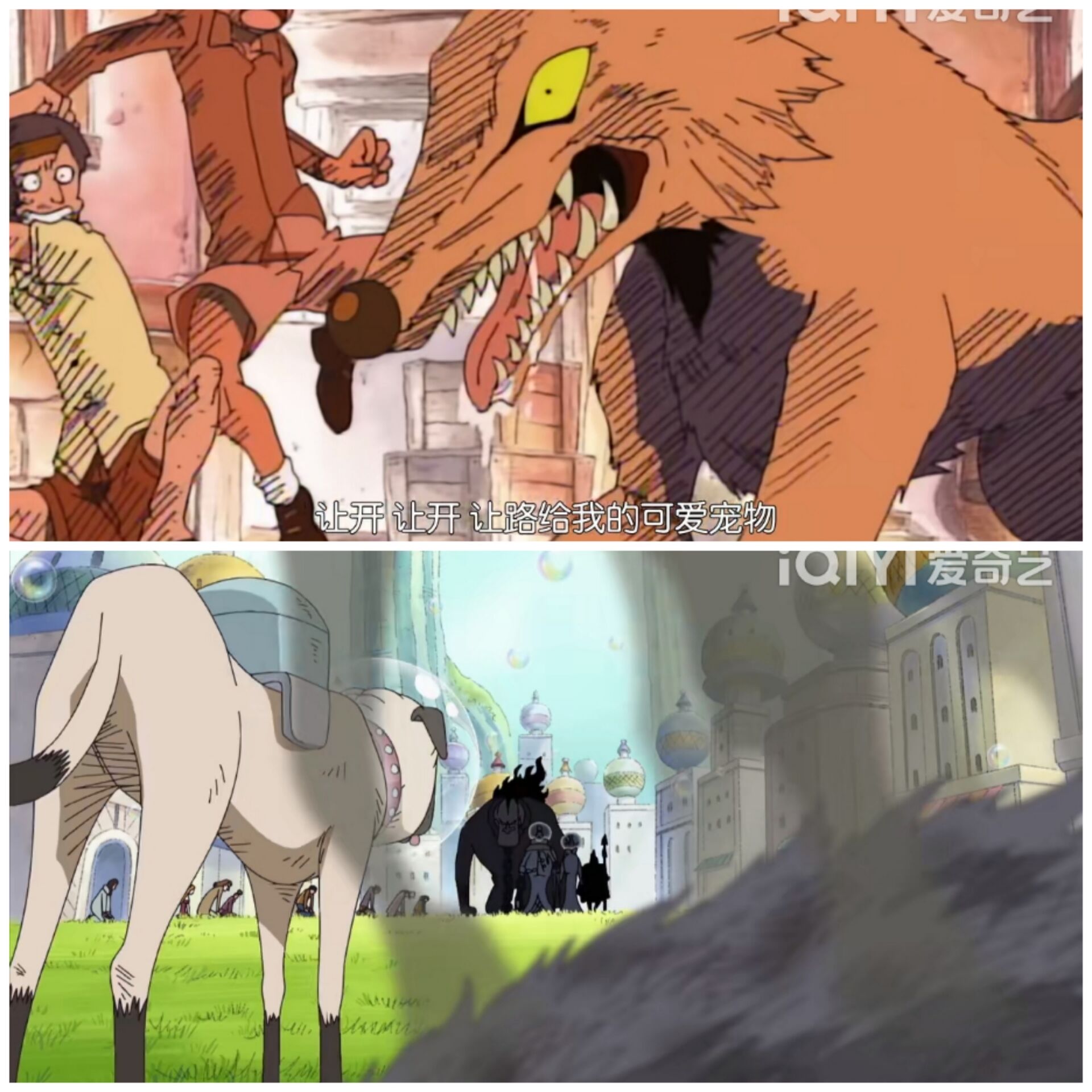 海贼王中24个有趣的冷知识,海贼王里传说中的大秘宝分析