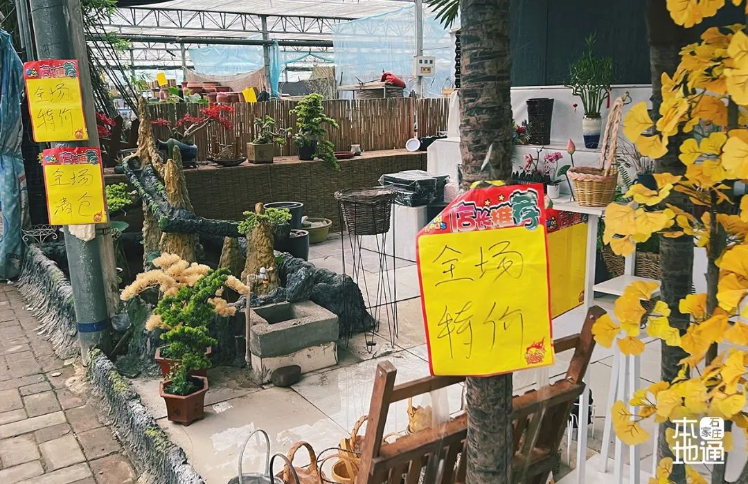 石家庄哪个花卉市场要拆,石家庄最好的花卉市场搬哪里去了