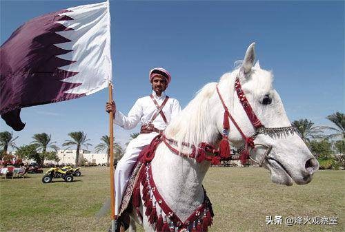 带你走进真实的卡塔尔：你应该知道的15个关于卡塔尔的冷知识