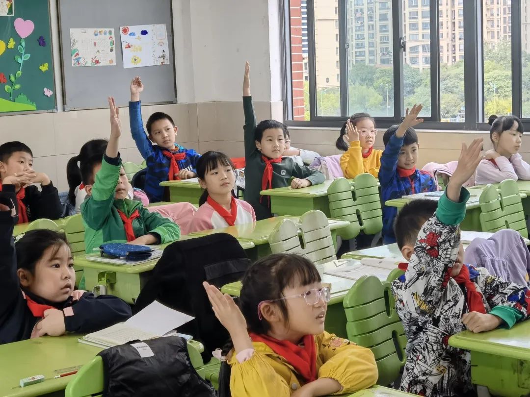 暑期数学综合实践活动小学,小学数学综合实践活动信息报道