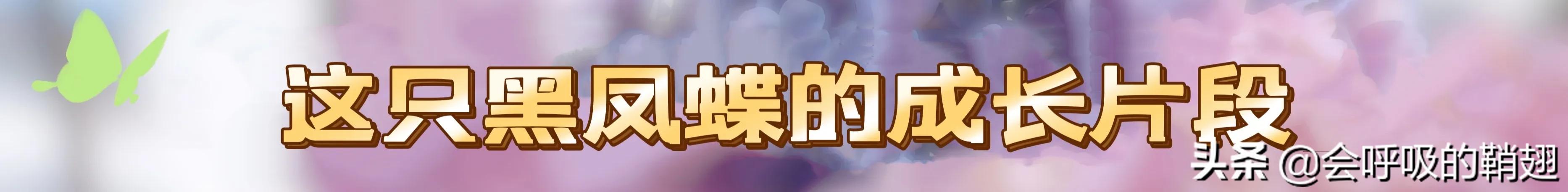 5个月的等待,经过5个多月的漫长等待