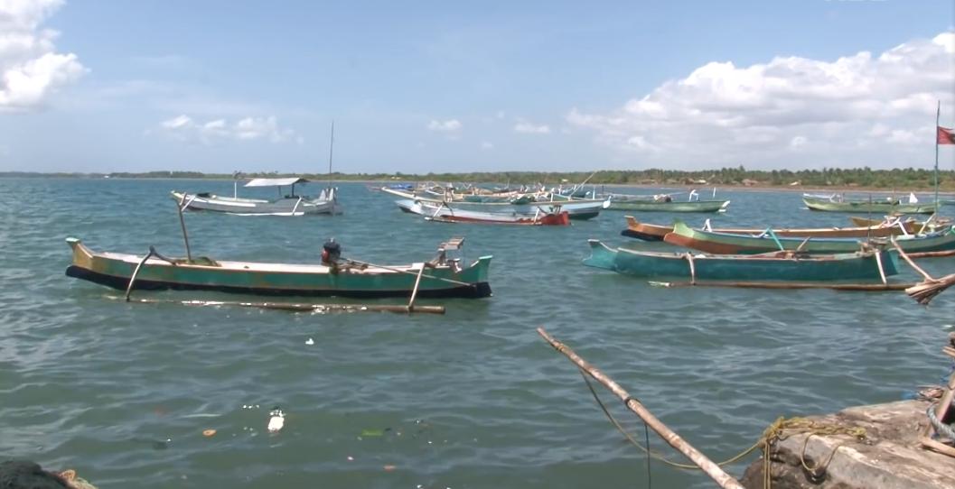 渔民捕获虎鲨,真实渔民钓到的虎鲨