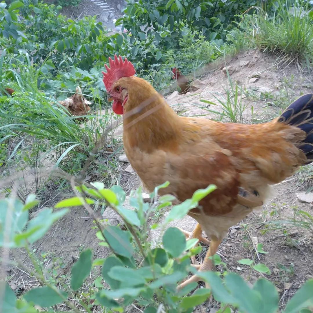 该怎样走出负债困境？