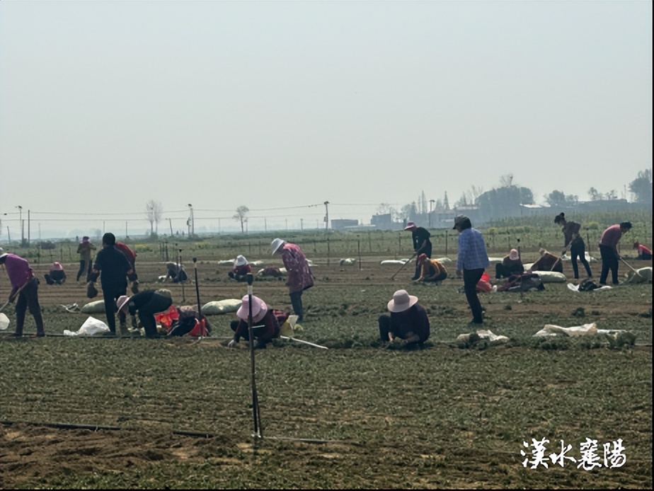 一个乡镇投资10个亿的项目,乡镇投资3个亿的项目