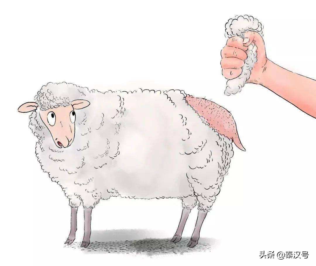 美属维尔京群岛旗,美属维尔京群岛独立吗