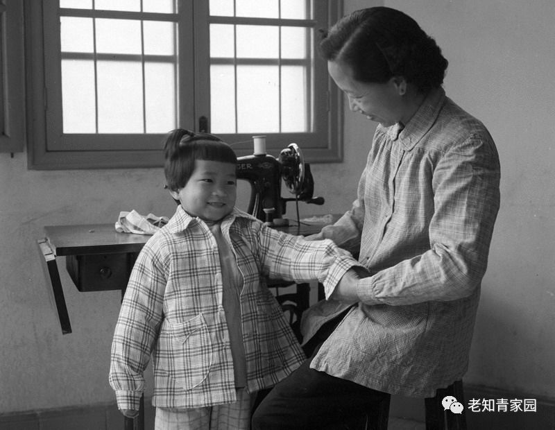 50年代的人成长经历,五十年代生人成长史