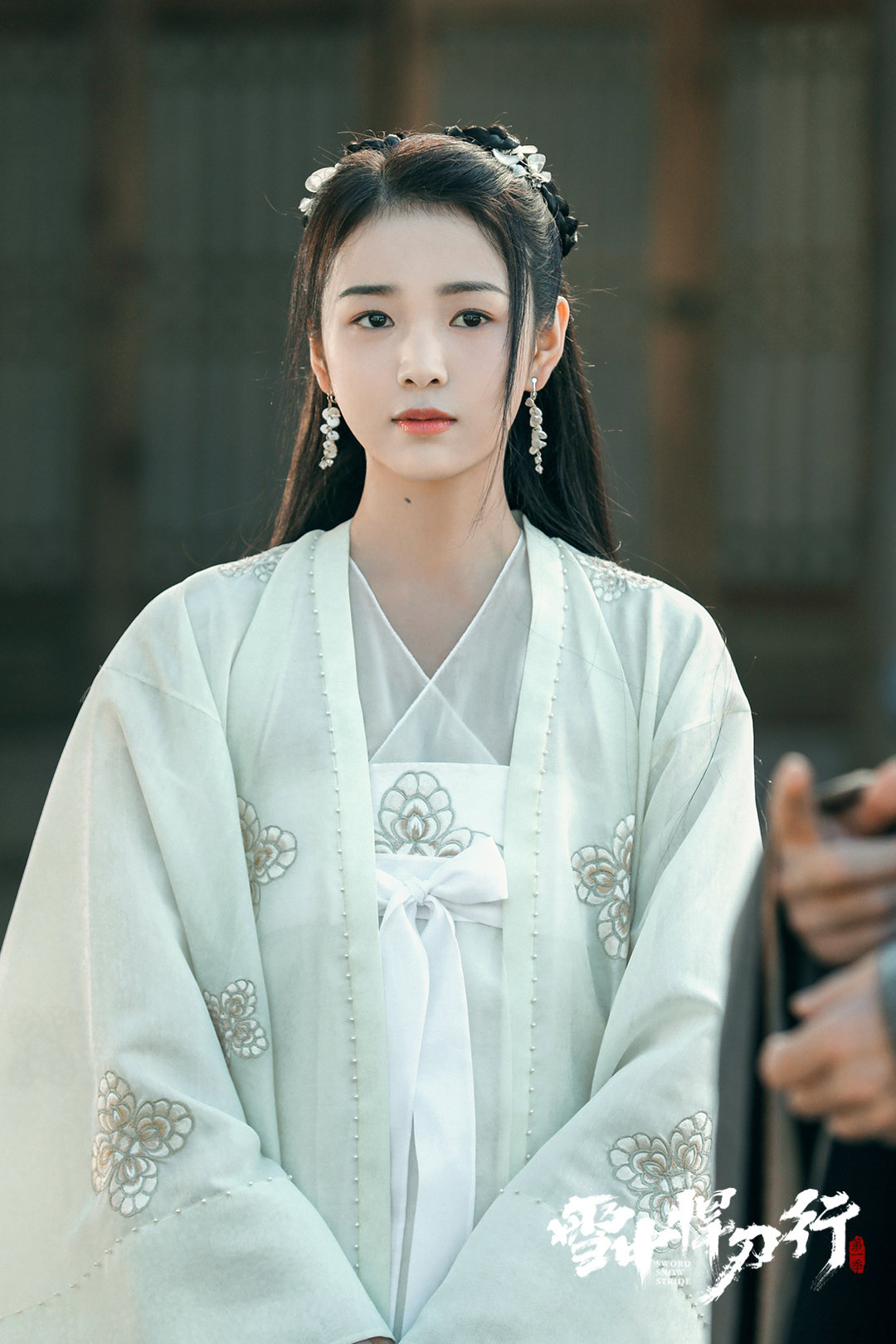 《雪中悍刀行》里徐凤年的老婆明确的有八个，你觉得哪个最好看？