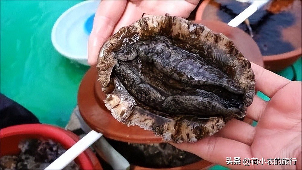 为什么干鲍比鲜鲍鱼好,为什么存黄金可以保值