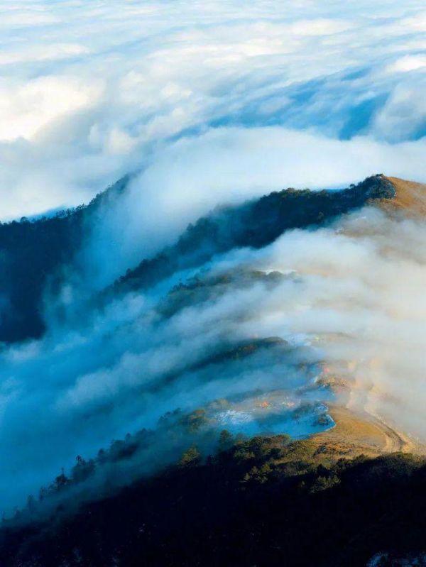 微生物菌群最新研究进展,一号菌群科研新成果