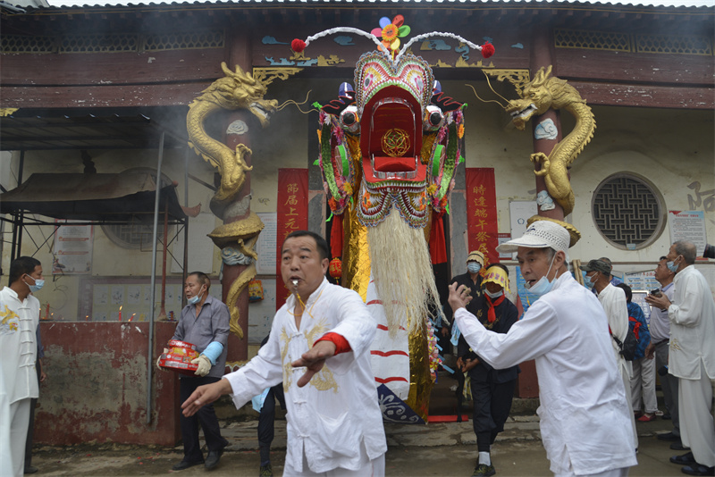 湖北鄂州旱龙舟,鄂州市泽林镇有多少个村