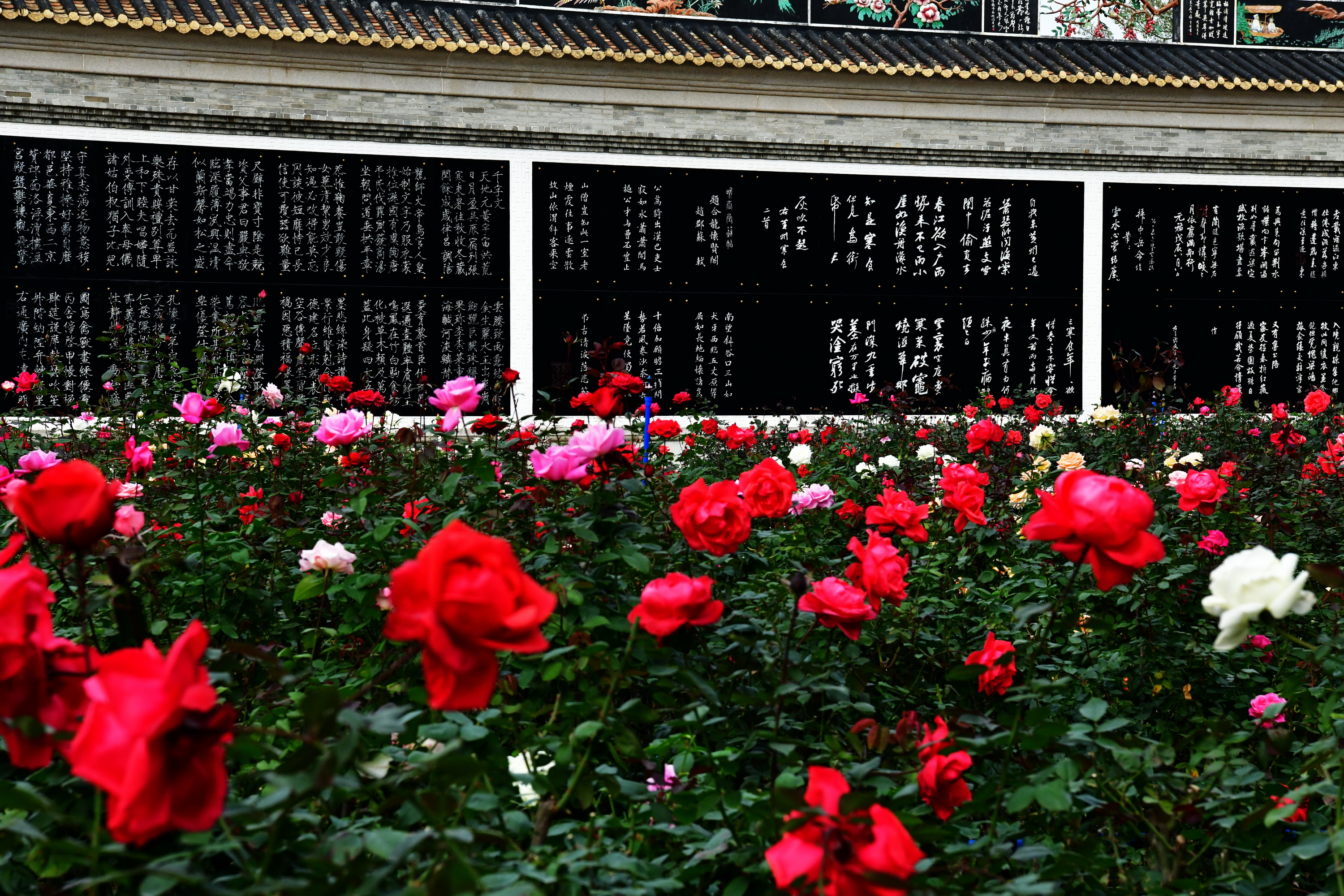 广州市番禺区宝墨园攻略,广州宝墨园景观