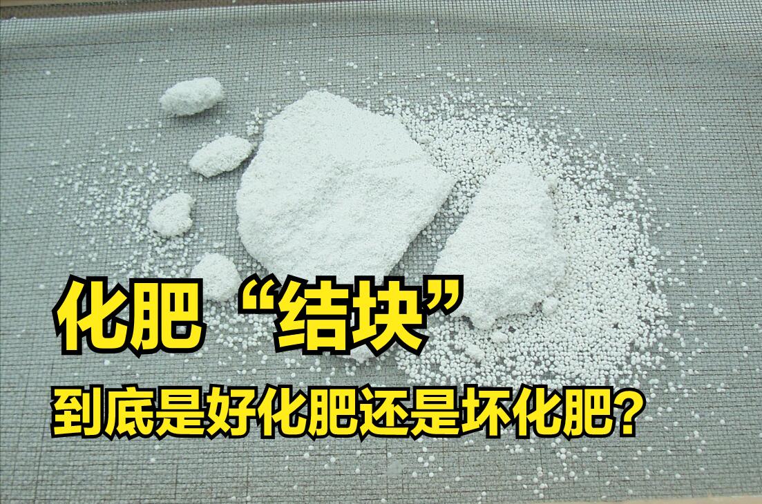 化肥为什么会导致板结,化肥的结块是什么原因