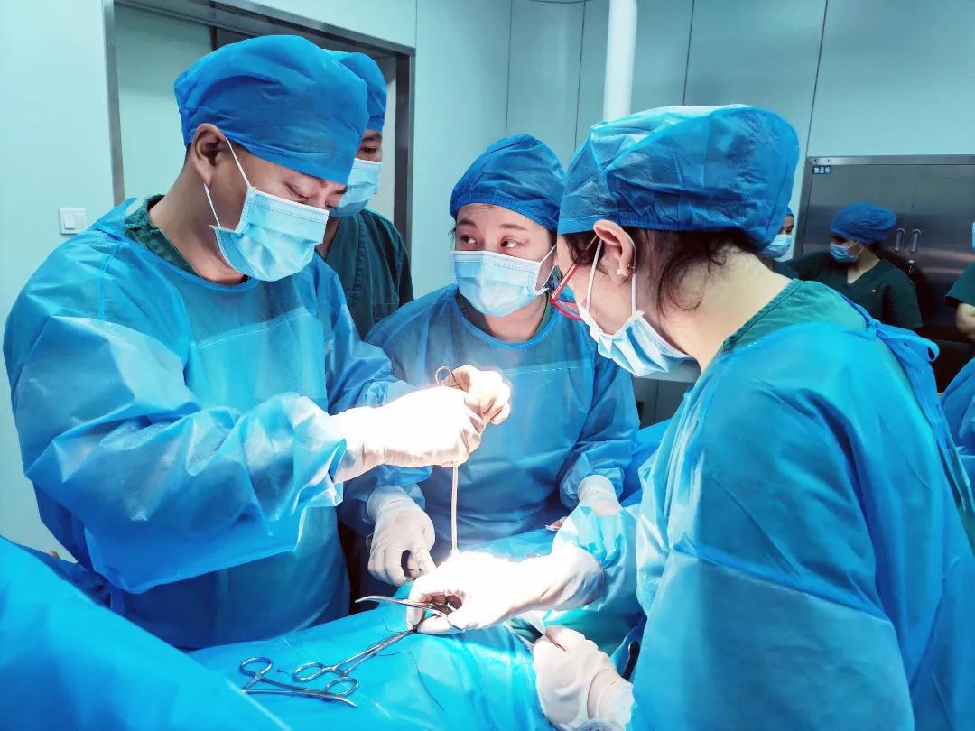 吃虾对肺结节有好处吗,虾对肺结节有没有影响