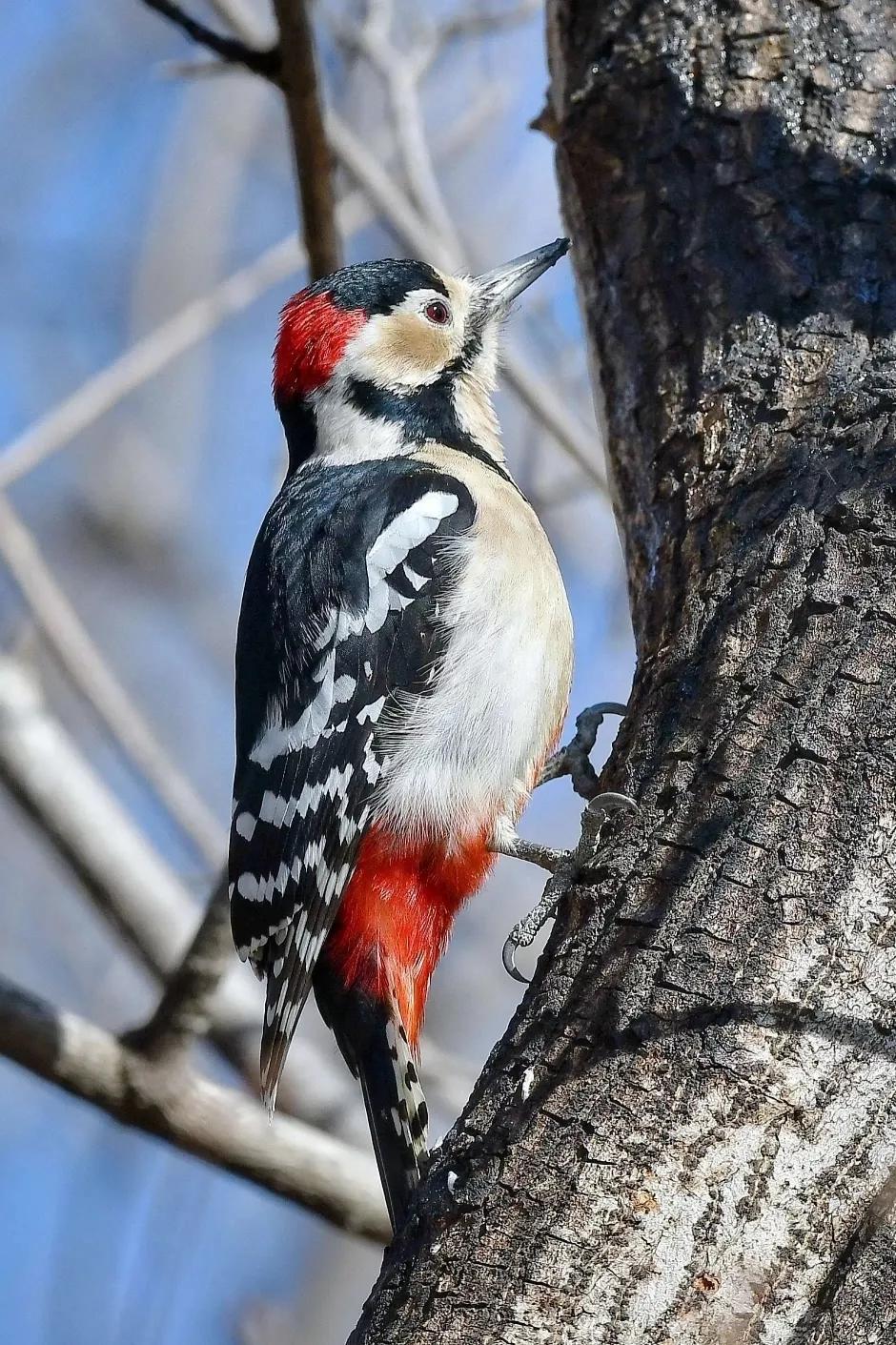 谷雨节气的含义是什么,谷雨节气介绍