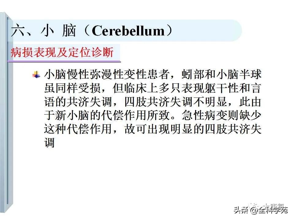 神经系统的影像与解剖定位,最全神经解剖图