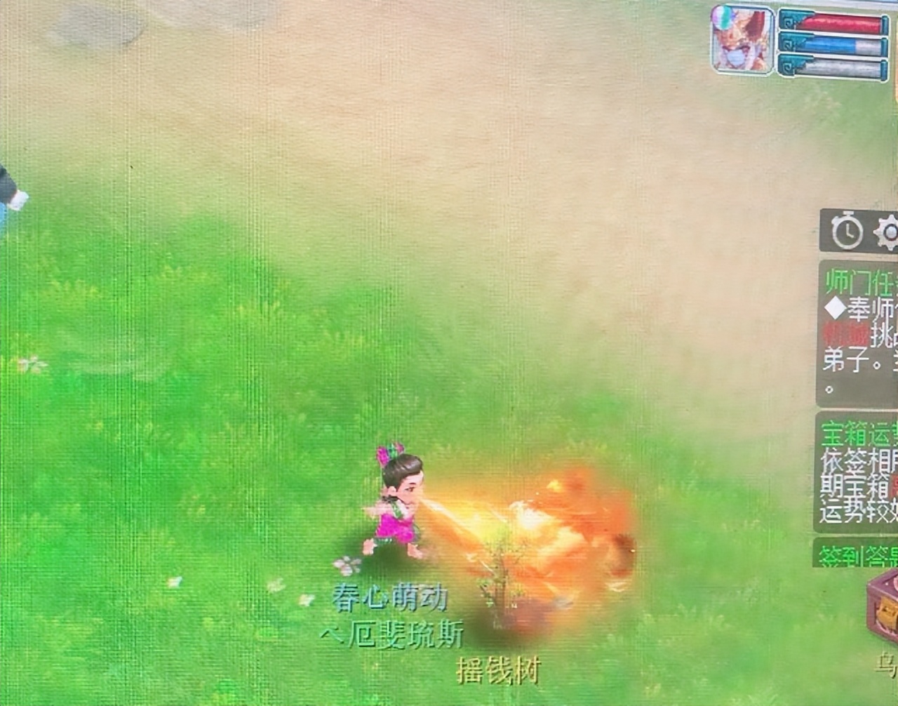 梦幻西游齐云楼拿过冠军吗,梦幻西游齐云楼四法伤