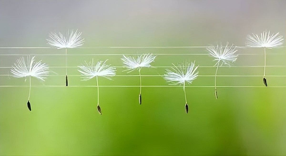 写给最亲爱的一封情书,给辛苦的自己写一封信