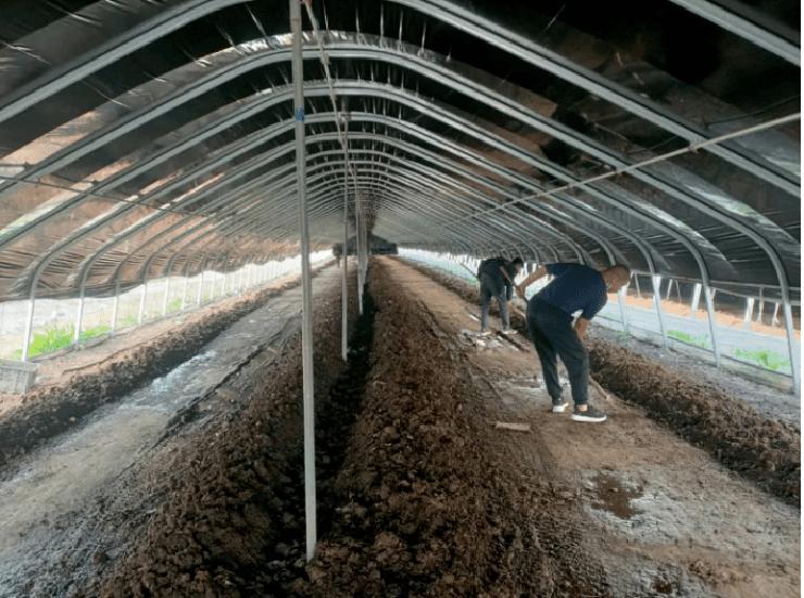 野生蚯蚓利益链从未终断？广东再现电蚯蚓，暴利下隐藏着什么危机