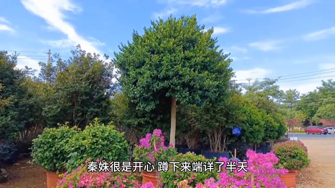 第5章这才是大变活人啊#推文超好看小说