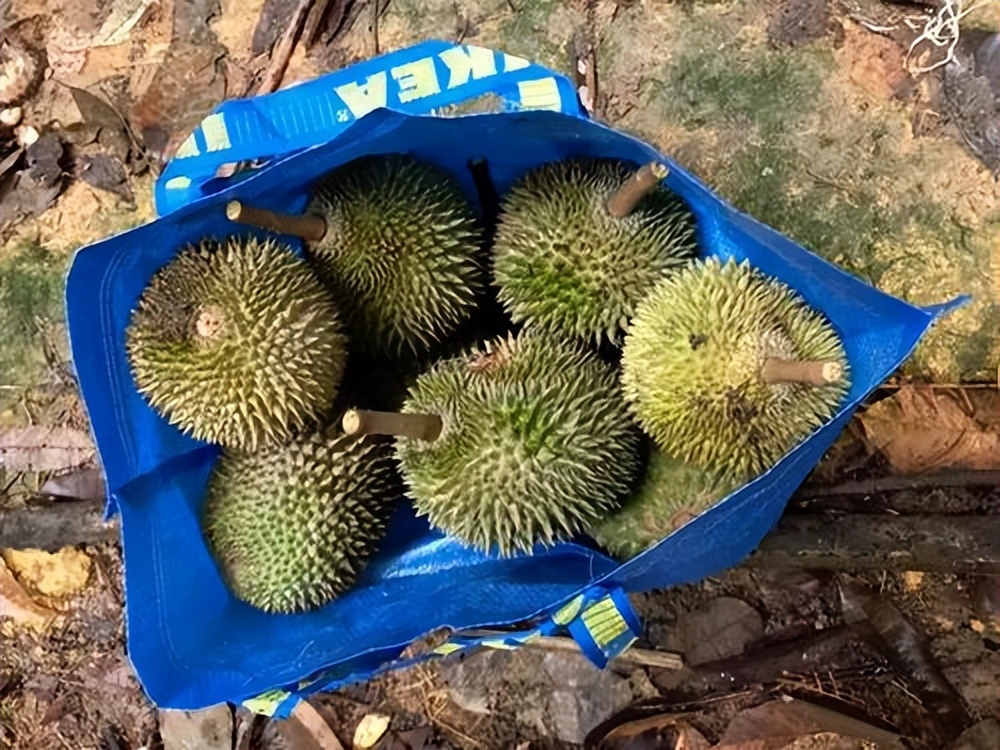 水果价格断崖式下跌,水果榴莲最低价