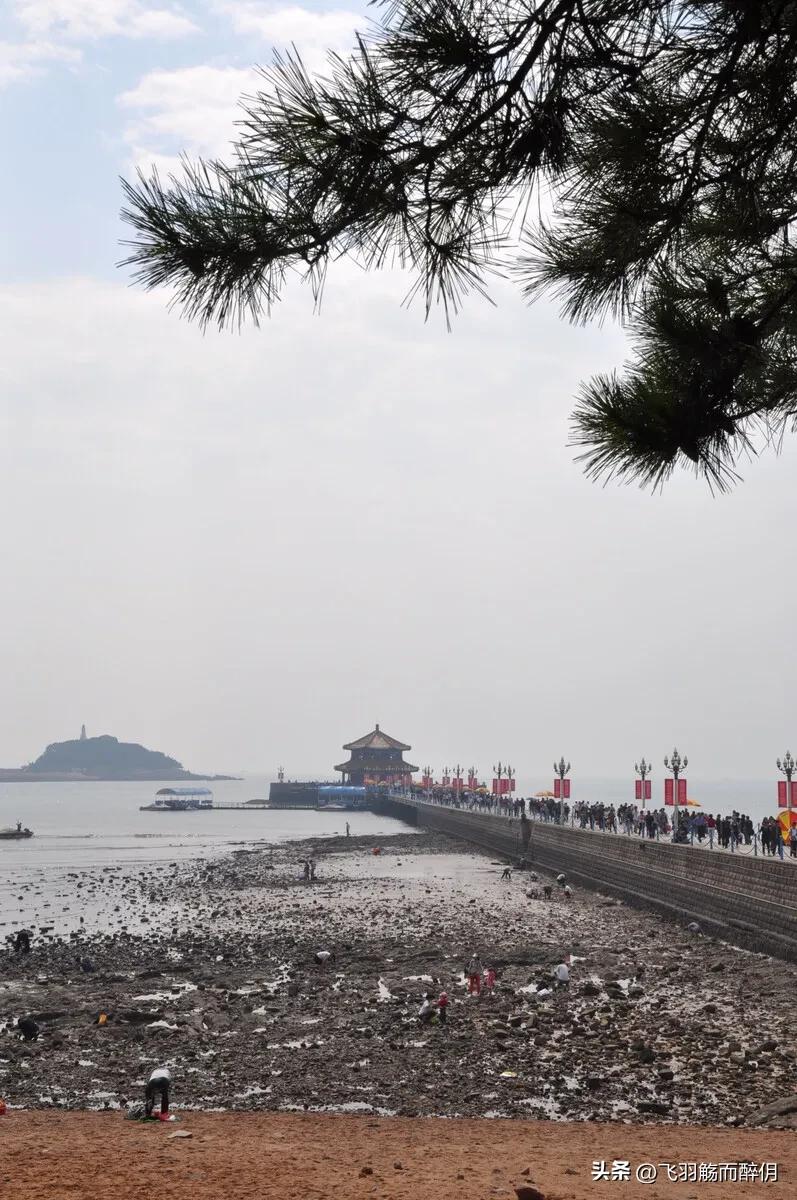 夏天去青岛哪个海边,青岛夏天去的海边