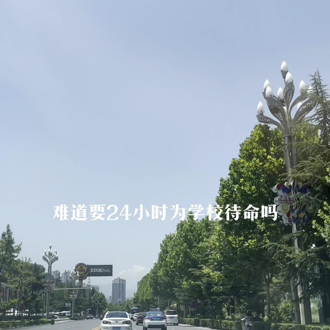 谁能理解男人#宝鸡鳄鱼