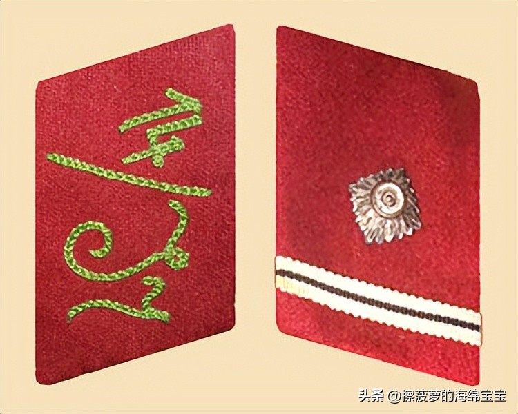 纳粹冲锋队用的什么枪,纳粹德军军衔图解