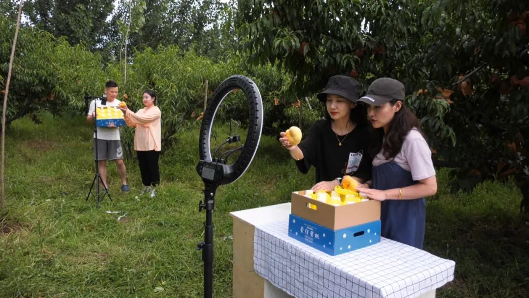 小蜜桃成就大产业系列报道之三：多元畅通的蜜桃营销