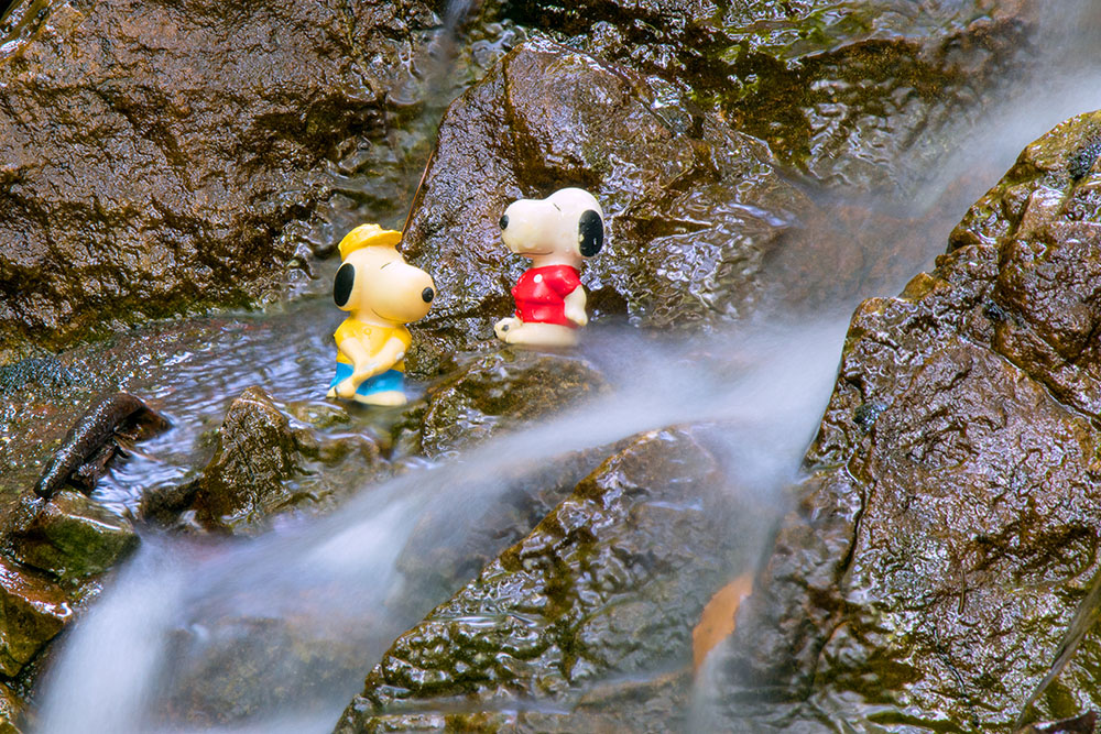 延时视频速度太快是什么原因,视频加速与移动延时区别