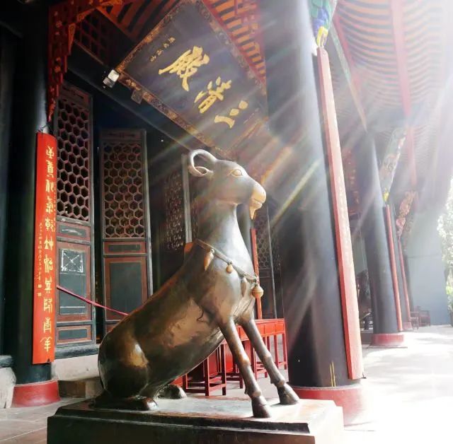 成都重庆九寨沟旅游攻略自由行,70-80岁老人旅游攻略成都